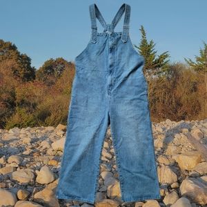 Denim Overalls Large